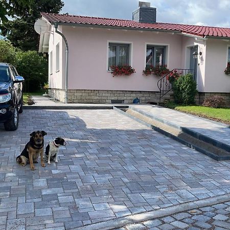 Haus Marianne Lejlighed Ettersburg Eksteriør billede
